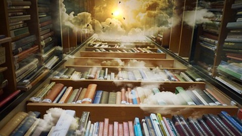 library-425730__340.jpg